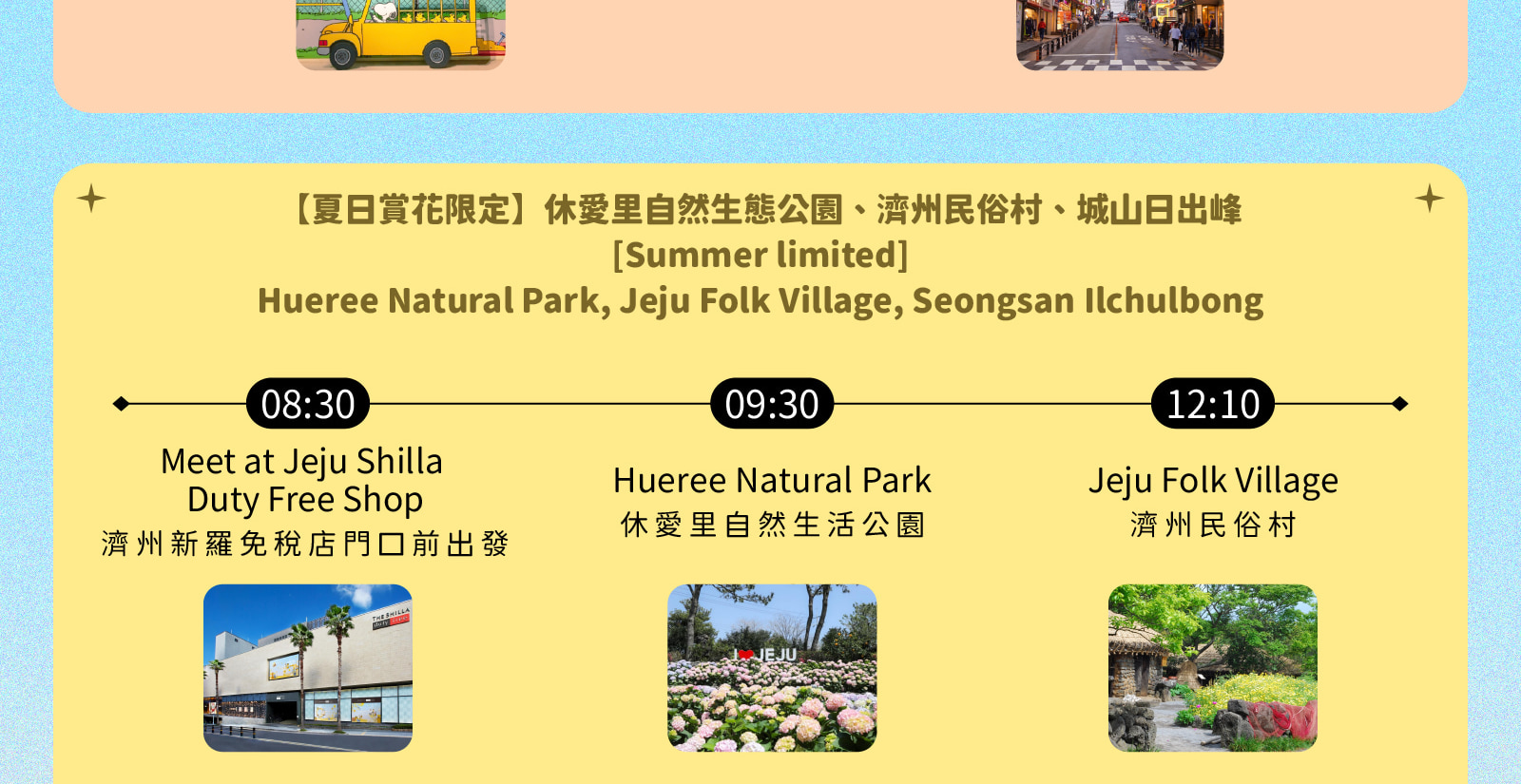 Jeju Eastern / Western / Cherry Blossom / Hydrangea / Private Tour 