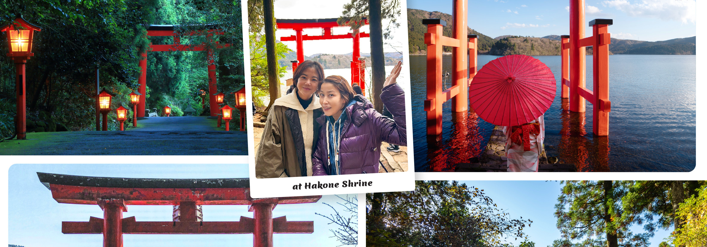 富士山 & 箱根: 富士山五合目/河口湖/大石公園/忍野八海/大涌谷/大淵笹場/雕刻之森美術館/箱根纜車/海賊船 (中/英/韓語導遊)
