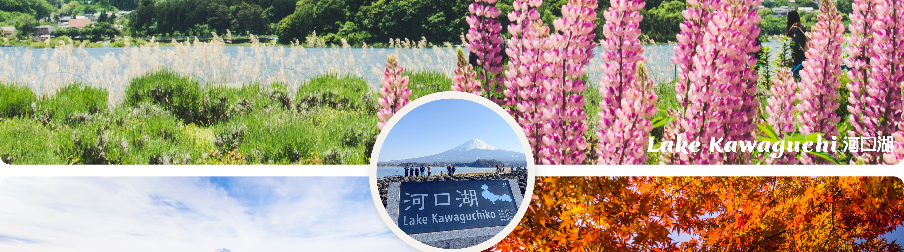 富士山 & 箱根: 富士山五合目/河口湖/大石公園/忍野八海/大涌谷/大淵笹場/雕刻之森美術館/箱根纜車/海賊船 (中/英/韓語導遊)