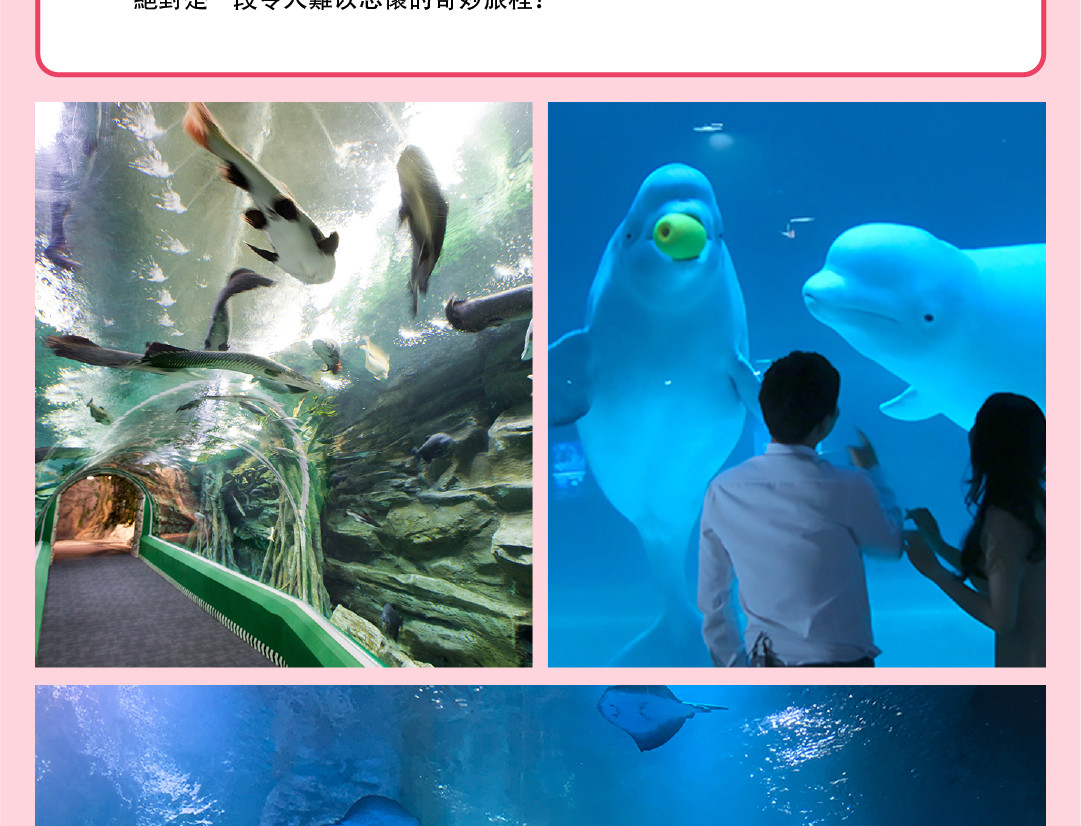 南怡島 & 樂天世界一日遊（含免費餐券和禮品）