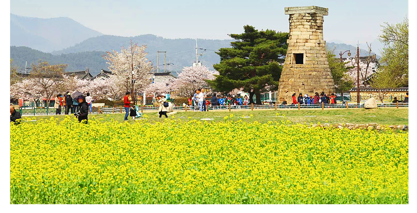 從釜山出發，探索慶州9大熱門景點