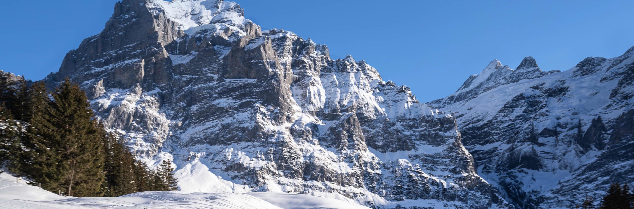 瑞士少女峰地區滑雪體驗（蘇黎世或盧塞恩出發）