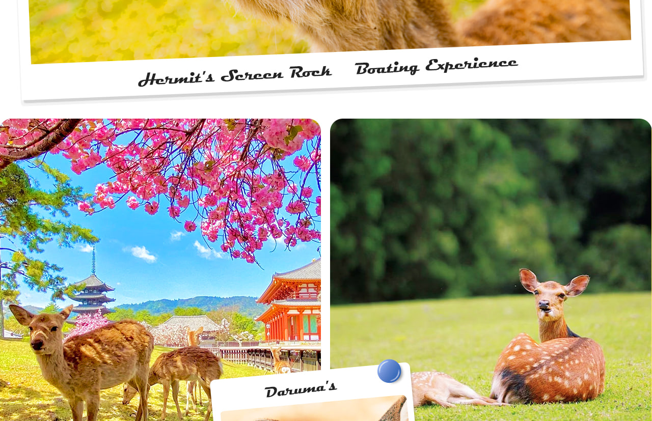 奈良公園是人與鹿和諧共處的天然樂園,彙集東大寺、春日大社等名勝,漫步其間盡享古都寧靜與自然之美。 奈良公園是人與鹿和諧共處的天然樂園,彙集東大寺、春日大社等名勝,漫步其間盡享古都寧靜與自然之美。