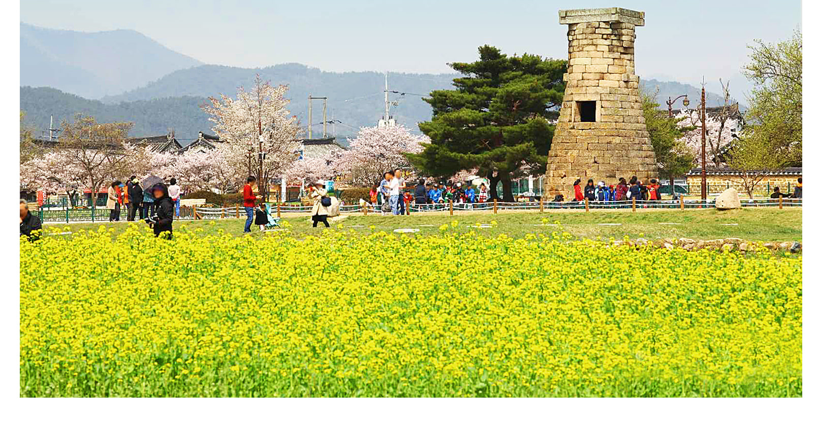 從釜山出發，探索慶州9大熱門景點