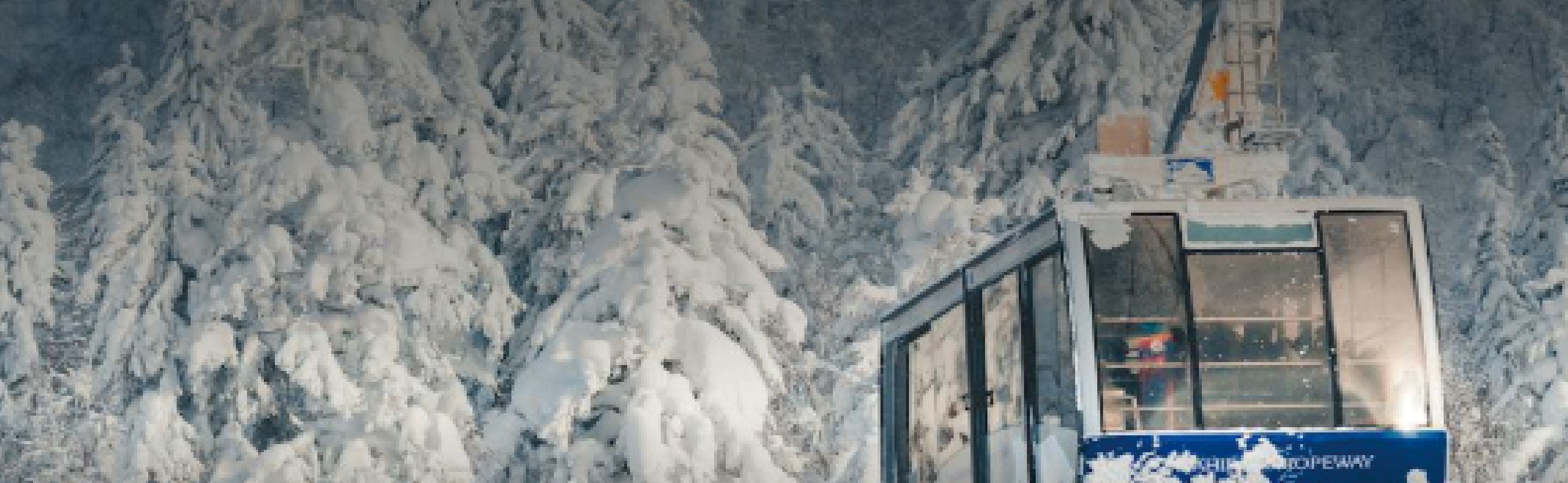 札幌出發丨國際滑雪場全包一日遊丨北海道旅遊局（HTO）官方認證