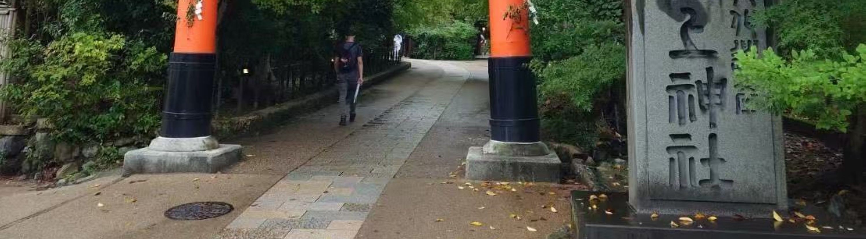 期間限定 淀川背割堤樱花祭  | 漫步1.4km櫻花隧道・宇治・勝尾寺・箕面大瀑布 