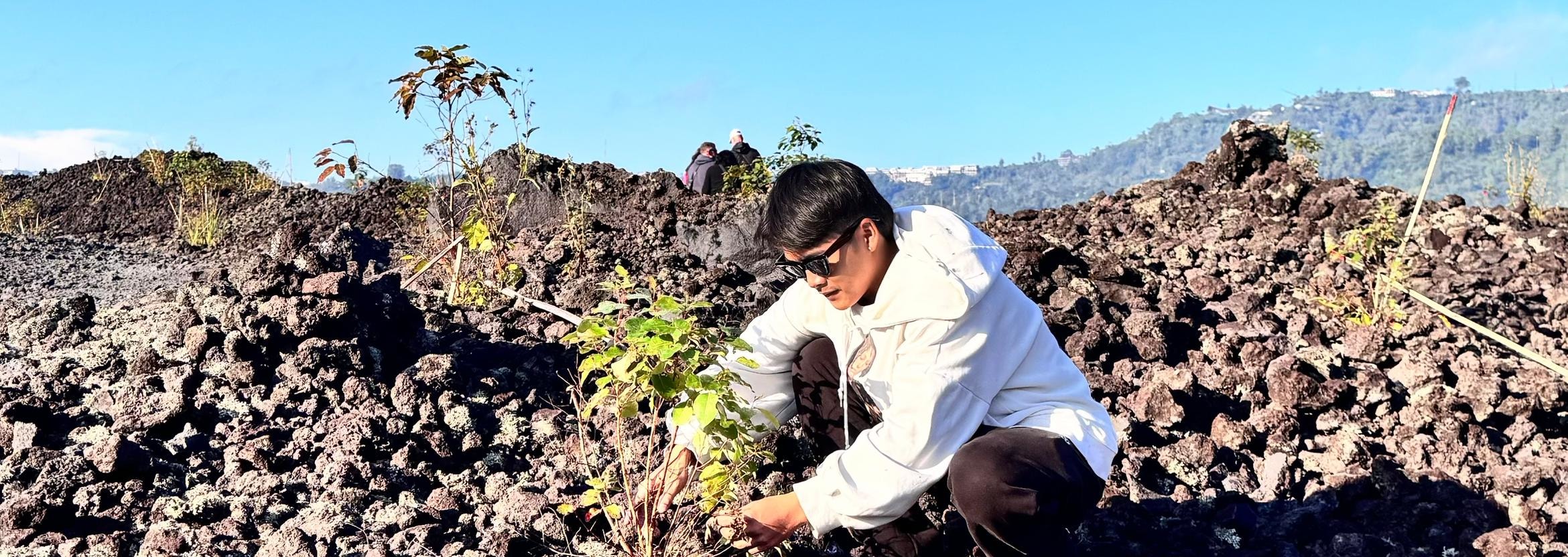 巴杜爾火山（Mount Batur）吉普車日出探險與植樹體驗