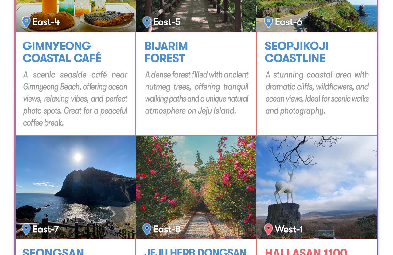 Jeju Car Rental with Driver to Seongsan Sunrise Peak/Osulloc Tea Museum/Cheonjeyeon Waterfalls/Folk Village