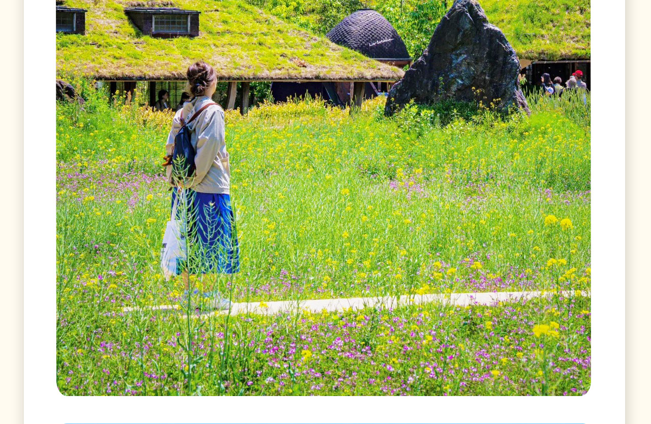 La Collina 近江八幡,巧妙地將自然美景與甜品藝術融合在一起。園內的“草根屋”以綠油油的草皮屋頂呼應周邊的山丘,是一處讓人心靈得到寧靜與療愈的秘境。 La Collina 近江八幡,巧妙地將自然美景與甜品藝術融合在一起。園內的“草根屋”以綠油油的草皮屋頂呼應周邊的山丘,是一處讓人心靈得到寧靜與療愈的秘境。
