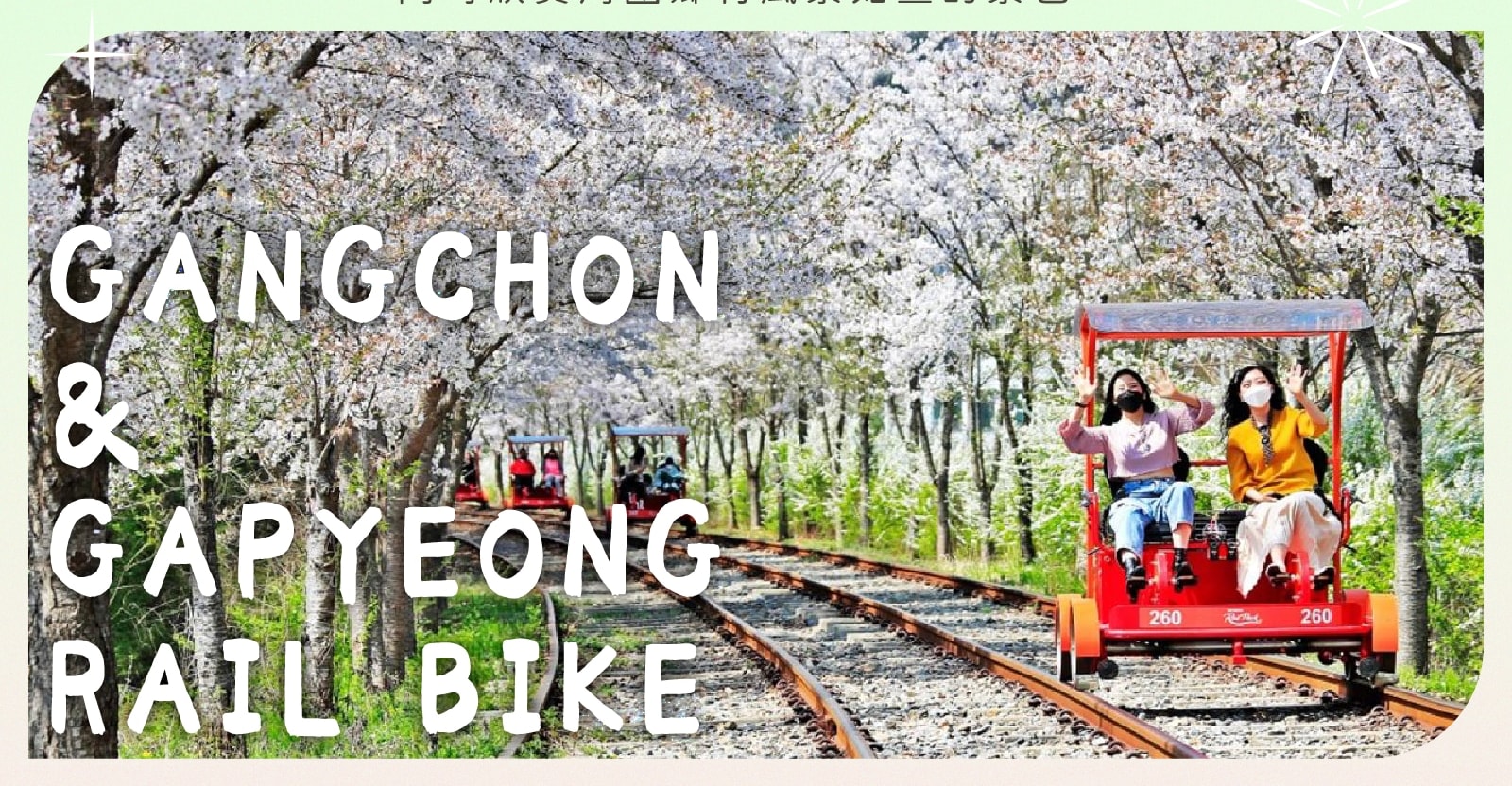羊駝牧場 / 南怡島 / 江村鐵路自行車 / 晨靜樹木園 / 樂高樂園 /  秋海棠鳥園