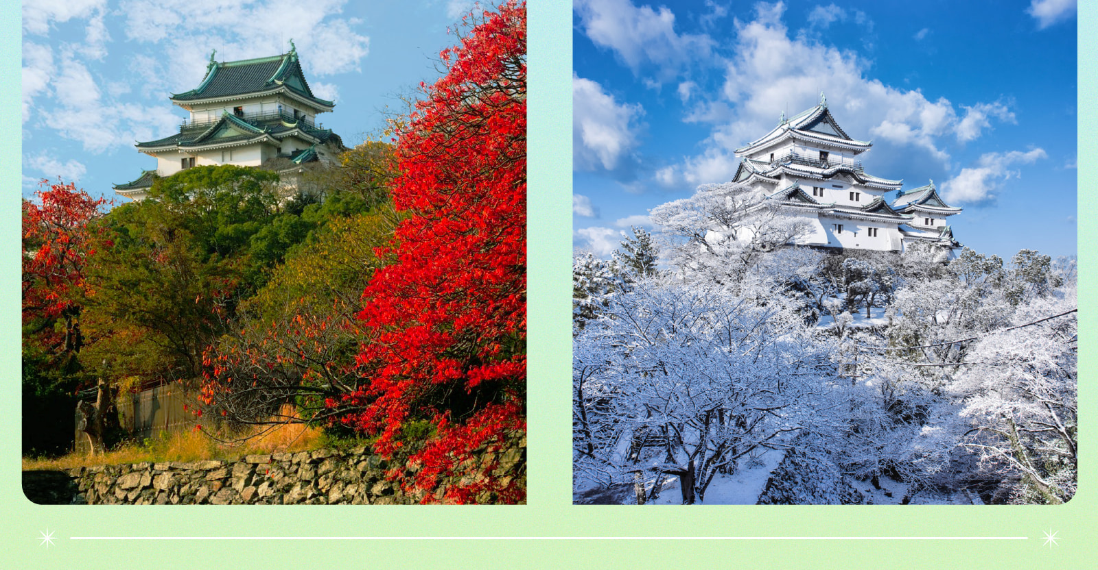 和歌山城x黑潮市場x奈良神鹿公園x東大寺一日遊(大阪出發)