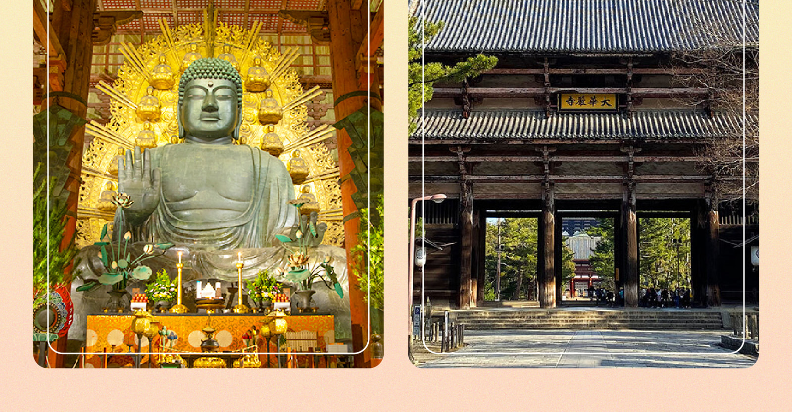 京阪一日遊：嵐山竹林 & 八坂神社 & 花見小路 & 奈良公園 & 東大寺｜大阪出發 