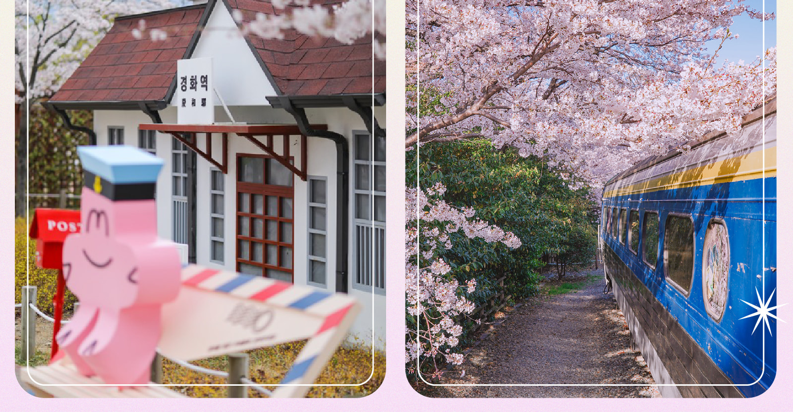 Jinhae Gunhangje Cherry Blossom Festival Day Tour from Seoul/Busan 