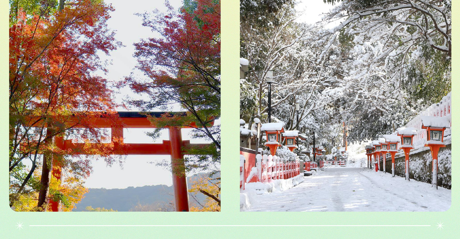 京阪一日遊：嵐山竹林 & 八坂神社 & 花見小路 & 奈良公園 & 東大寺｜大阪出發 