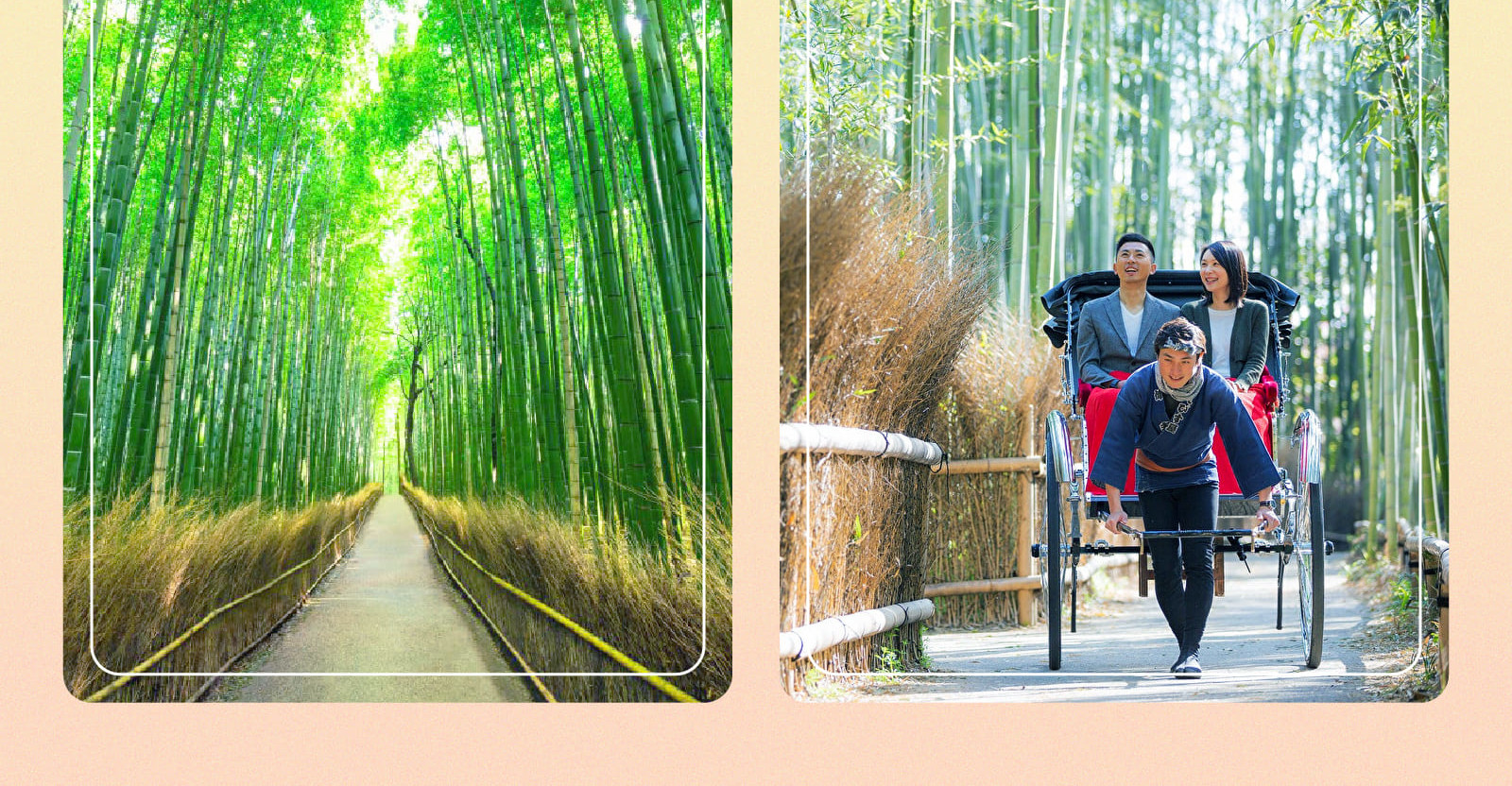 【大阪打卡熱點】勝尾寺 x 箕面瀑布 x 嵐山竹林 x 東大寺一日遊