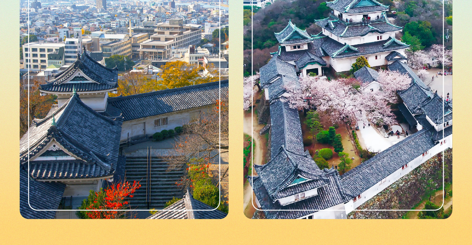 和歌山城x黑潮市場x奈良神鹿公園x東大寺一日遊(大阪出發)