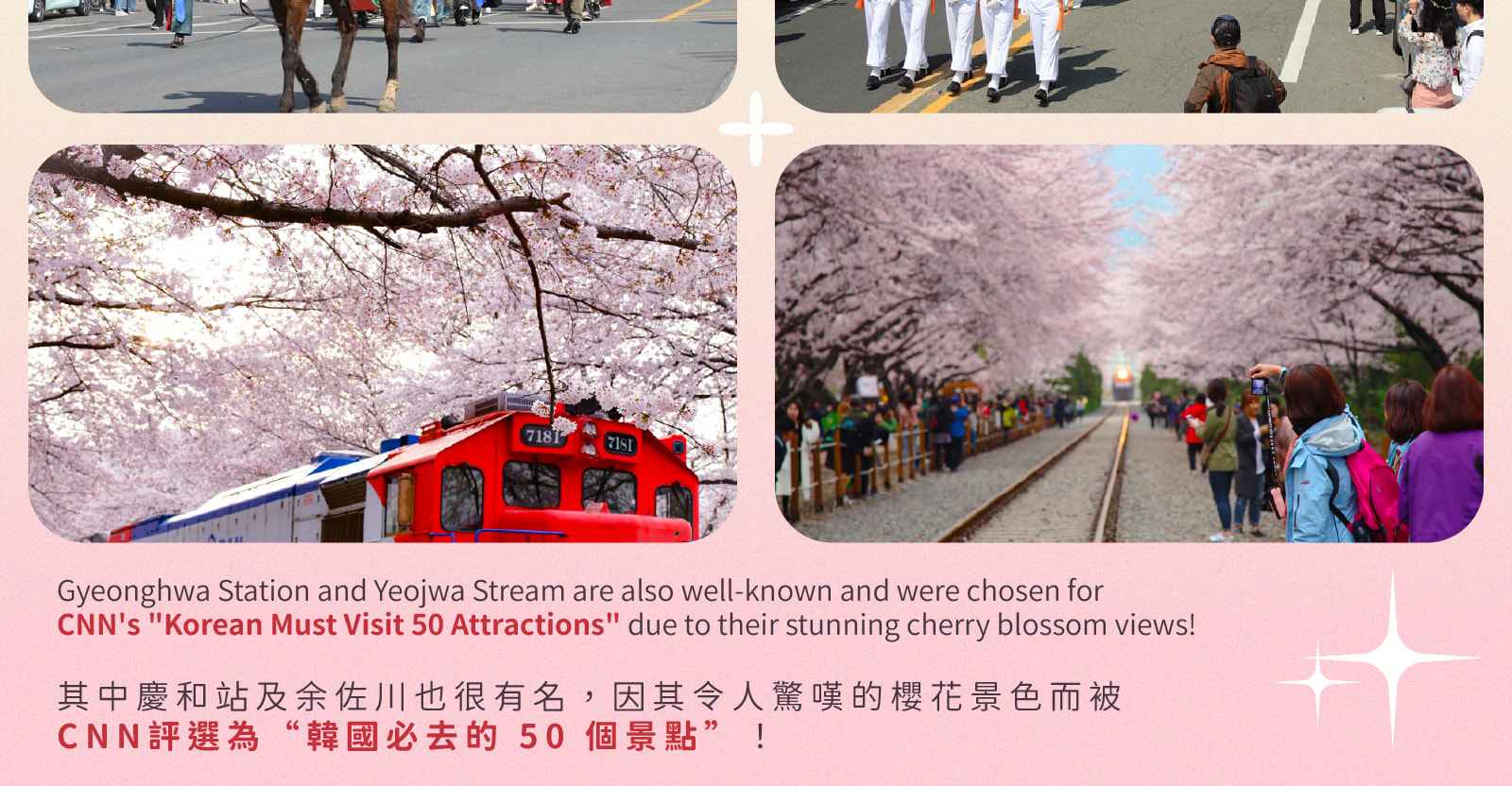 Jinhae Gunhangje Cherry Blossom Festival Day Tour from Seoul/Busan 