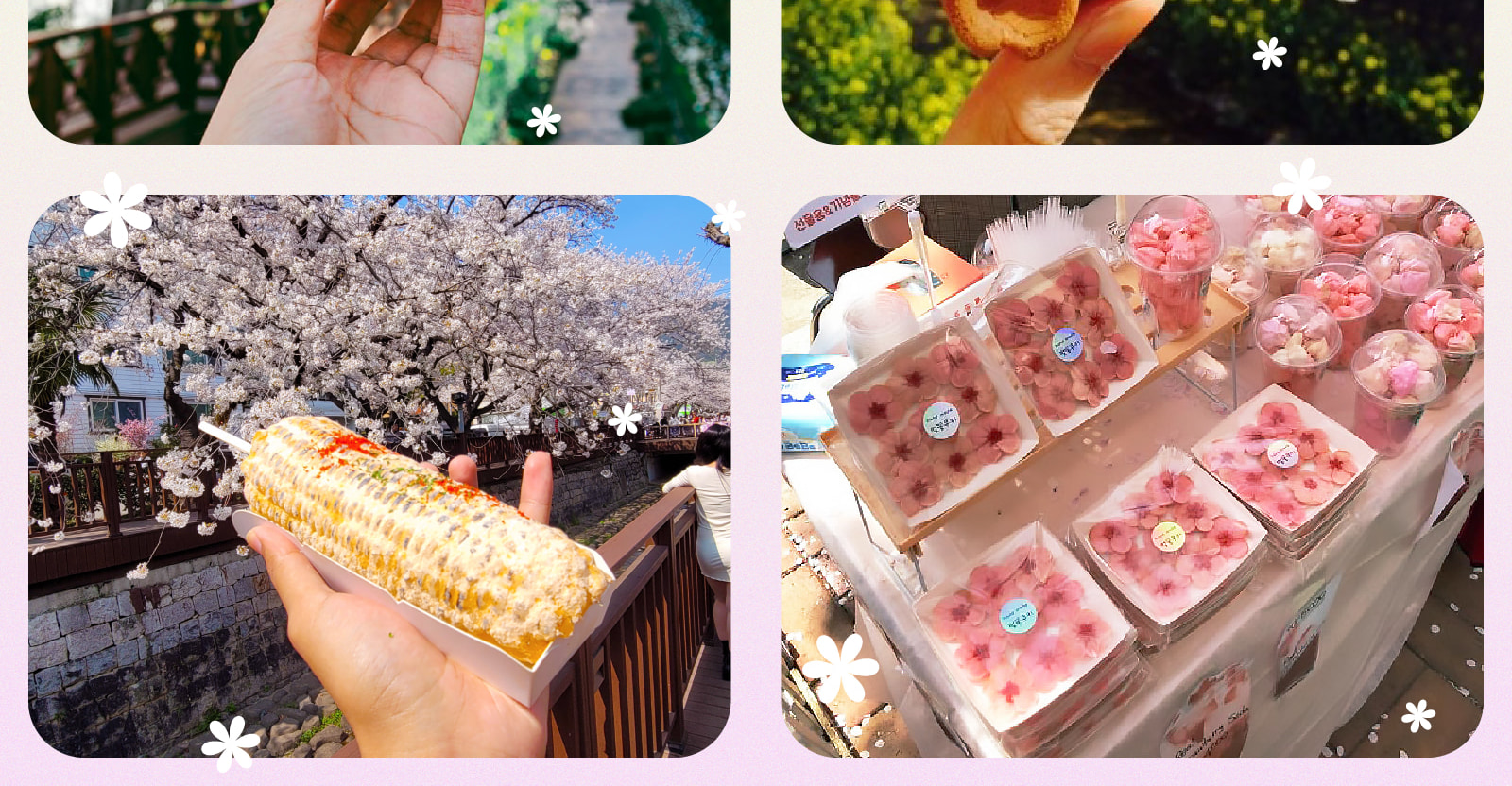 Jinhae Gunhangje Cherry Blossom Festival Day Tour from Seoul/Busan 