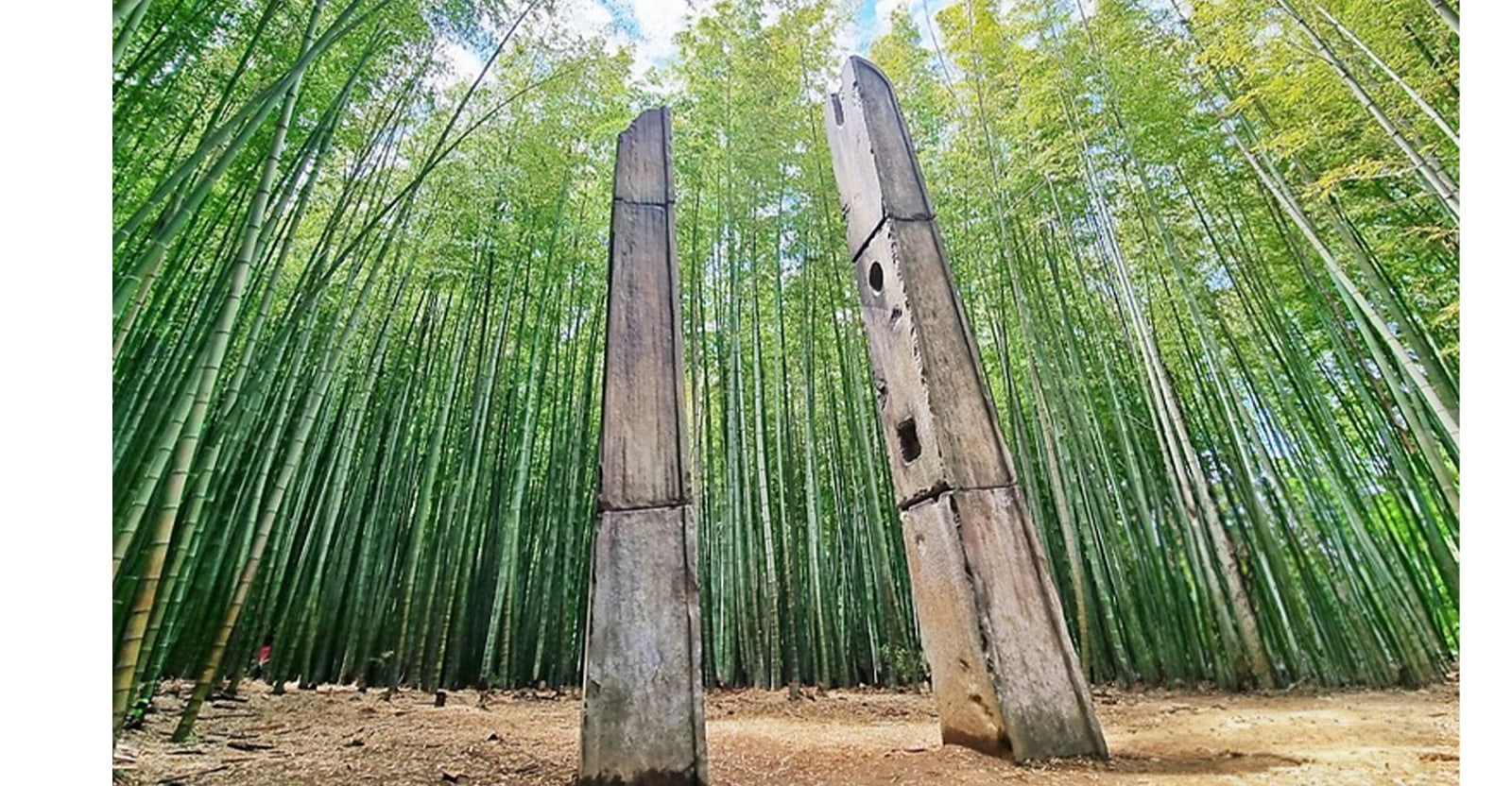 小團釜山一日遊（含認證導遊）