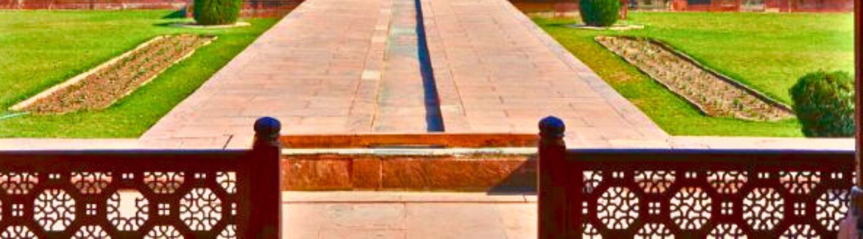 From Delhi: Golden Triangle Tour with Tiger Safari with Options