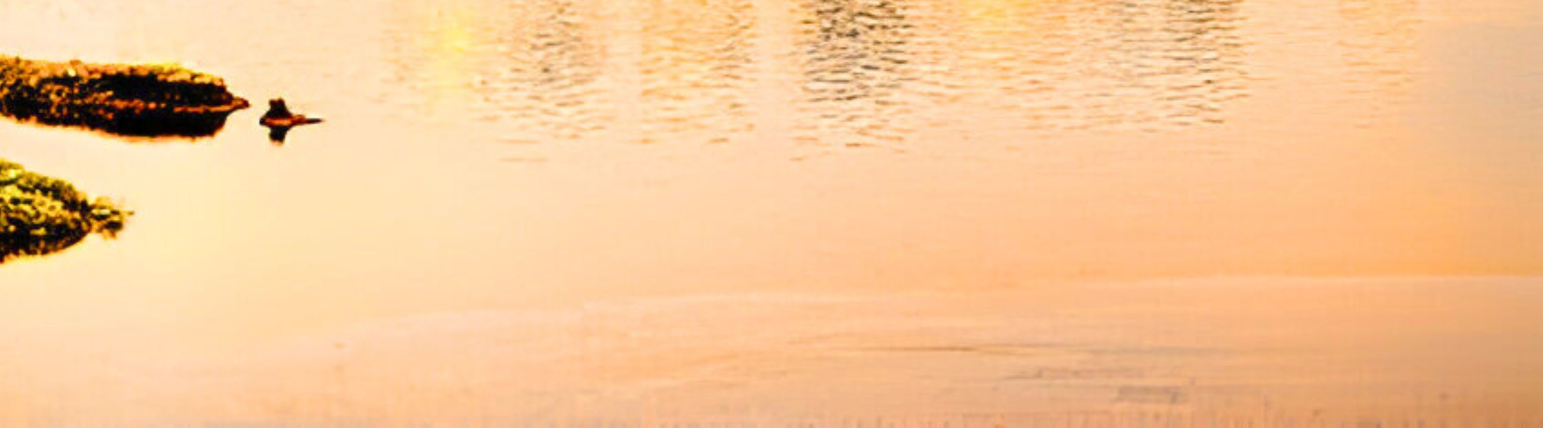 From Delhi: Golden Triangle Tour with Tiger Safari with Options