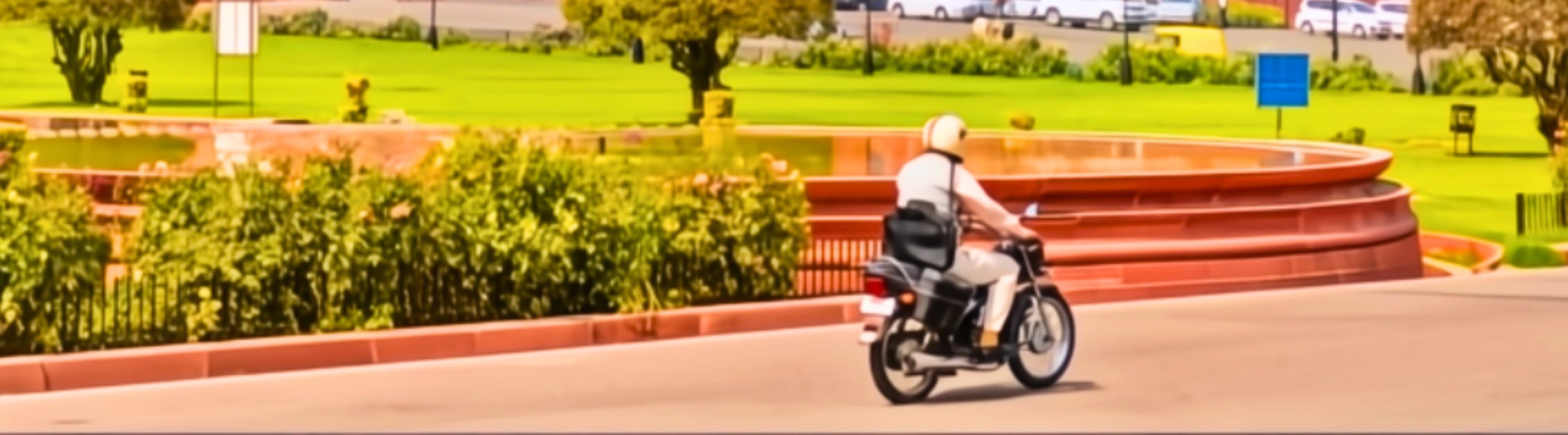 From Delhi: Golden Triangle Tour with Tiger Safari with Options