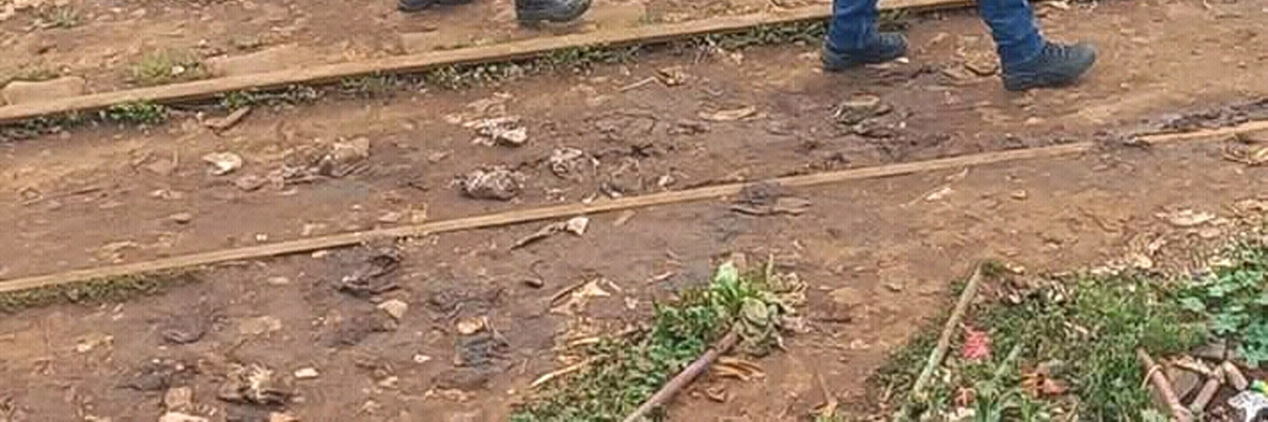 內羅畢：基貝拉貧民窟徒步之旅和食肉動物餐廳午餐