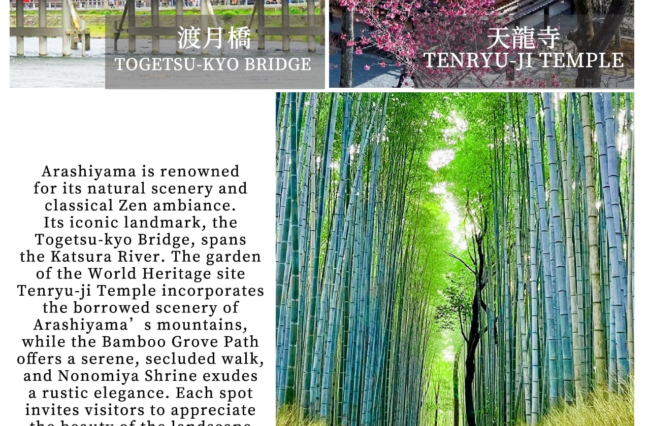 Kyoto Kinkaku-ji Temple, Arashiyama Free Stroll & Night Cherry Blossom/Autumn Leaves Illumination Arashiyama Sagano Romantic Train Day Trip (Departing from Osaka/Kyoto) - Thumbnail 8
