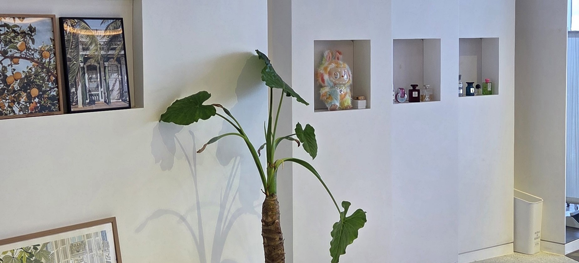 舒適且私密的獨立空間，提供放鬆身心的體驗
