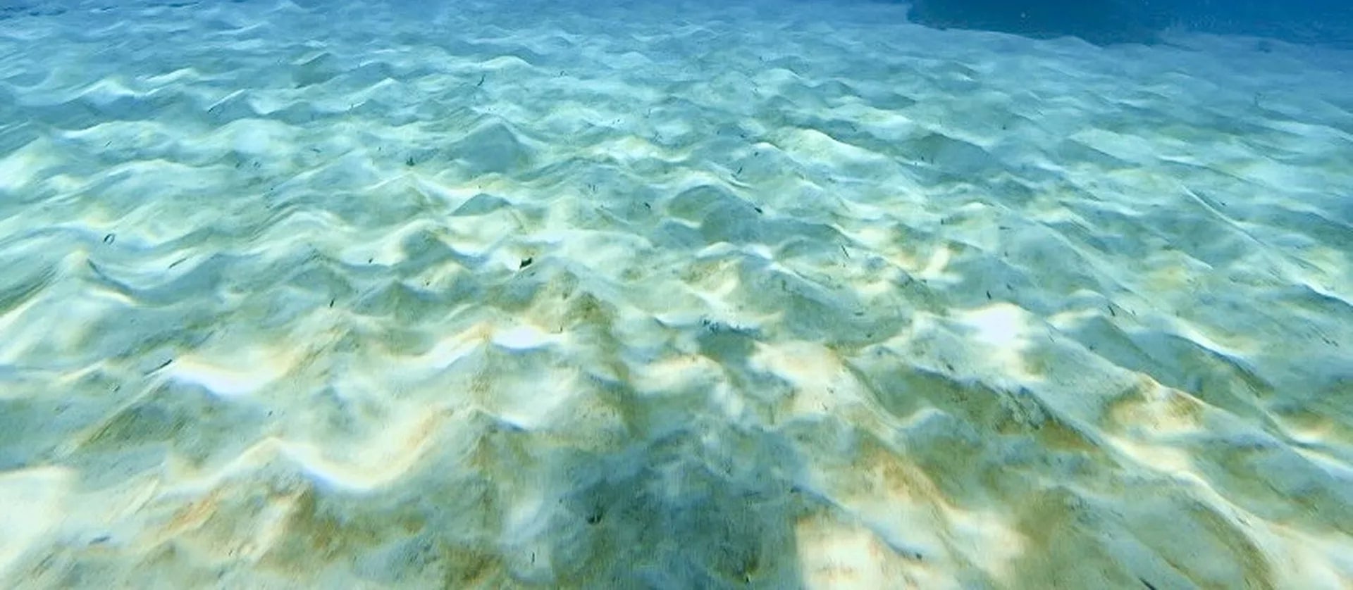 巴厘島高級開放水域潛水體驗（PADI潛水中心）