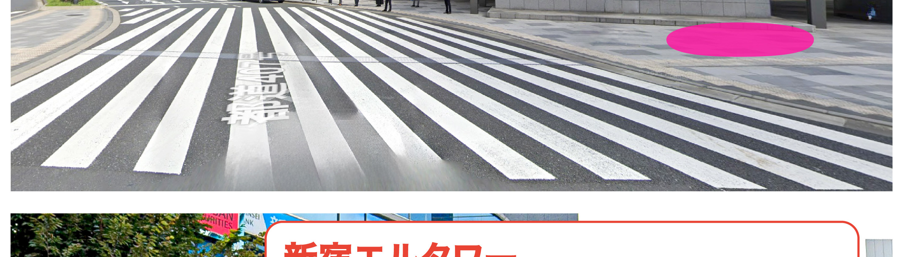 季節限定: 國營常陸海濱公園 & 足利花卉公園一日遊 (東京出發)