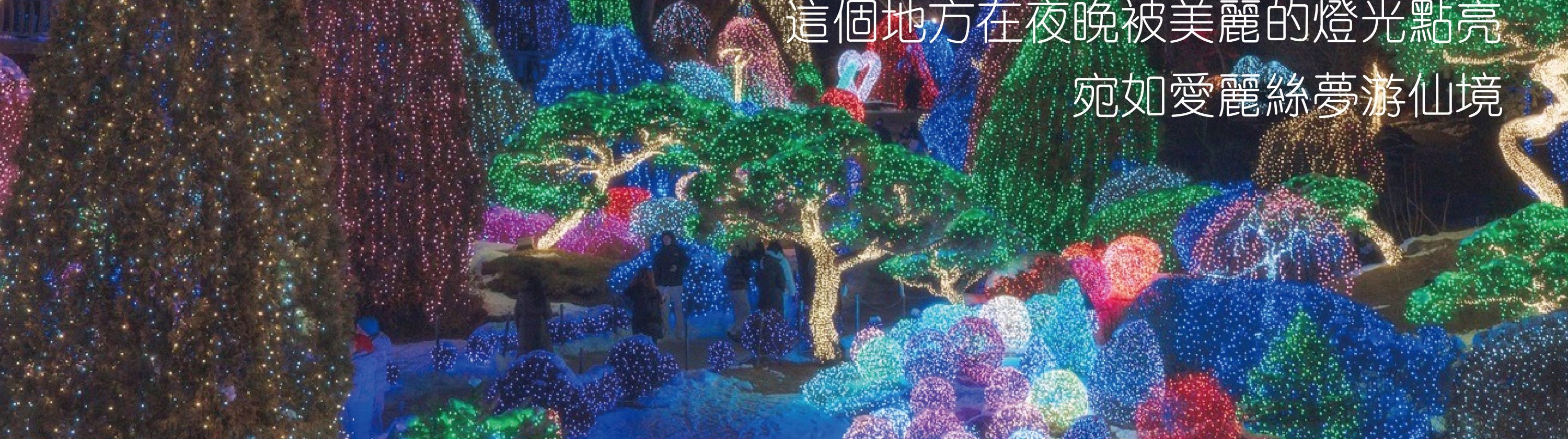 Cheongyang Ice Festival & Nami & Eobi Ice Valley & Strawberry Tour