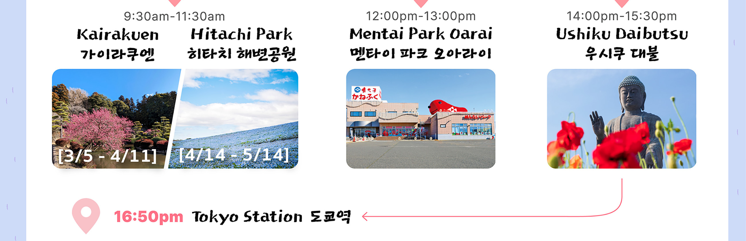 季節限定: 國營常陸海濱公園 & 足利花卉公園一日遊 (東京出發)