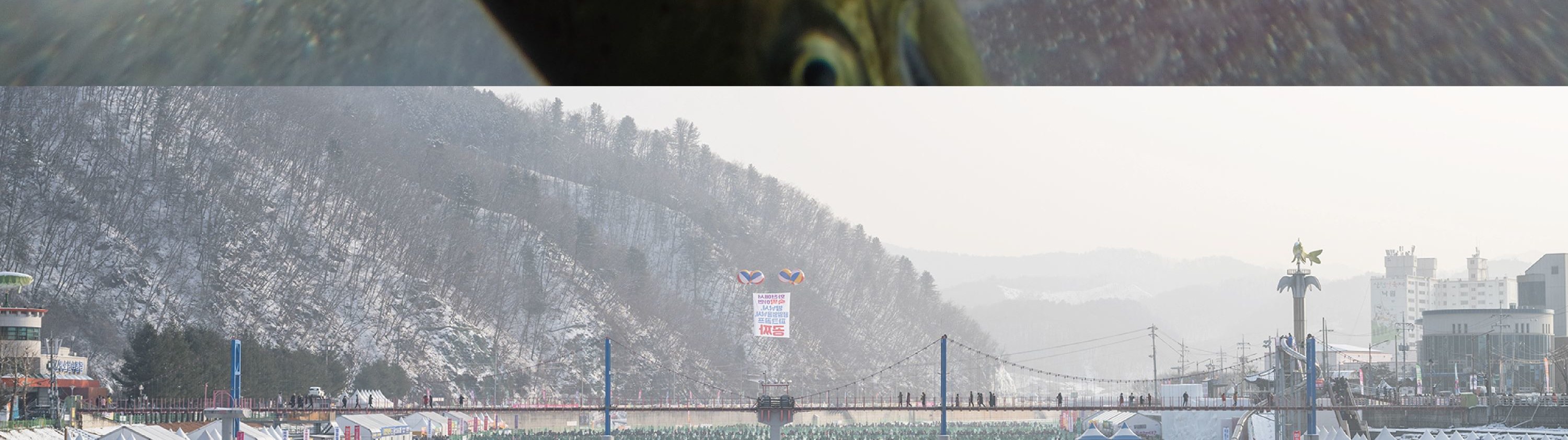 Cheongyang Ice Festival & Nami & Eobi Ice Valley & Strawberry Tour