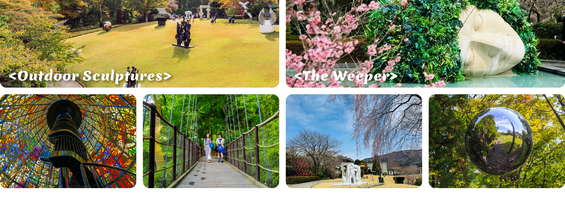 富士山 & 箱根: 富士山五合目/河口湖/大石公園/忍野八海/大涌谷/大淵笹場/雕刻之森美術館/箱根纜車/海賊船 (中/英/韓語導遊)