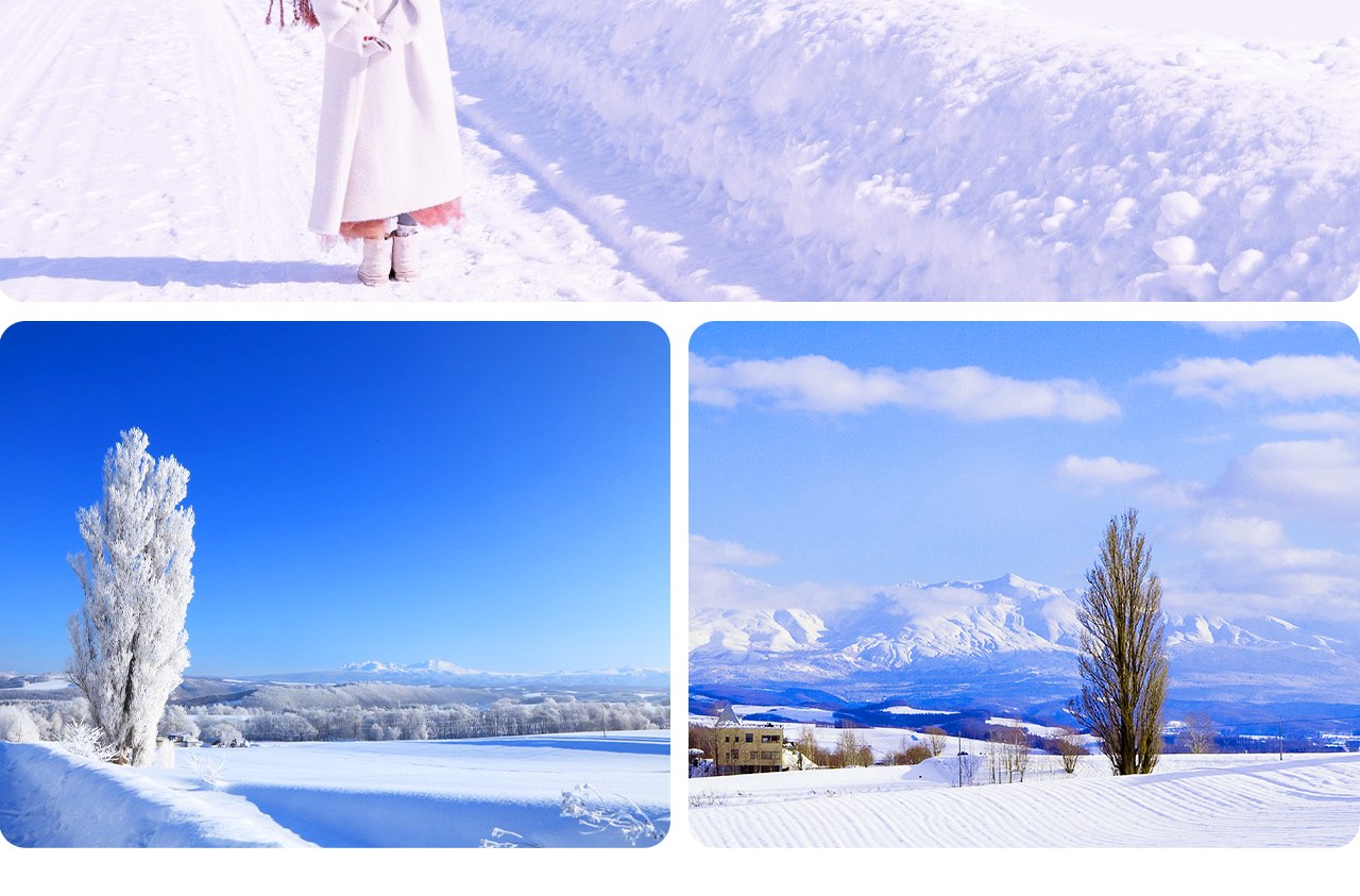 北海道“Ken & Mary之樹”因出現在早期汽車廣告中而走紅，以其孤立於丘陵上的挺拔白楊與唯美田園風光聞名。