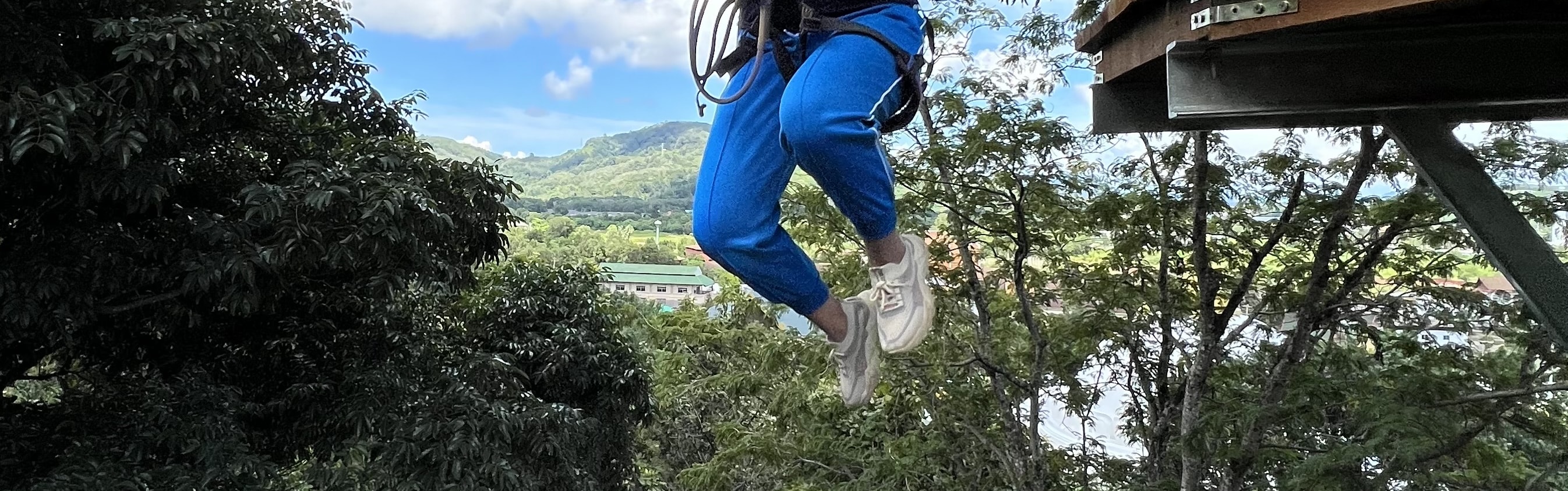 叢林極限冒險滑索和自由落體跳躍公園