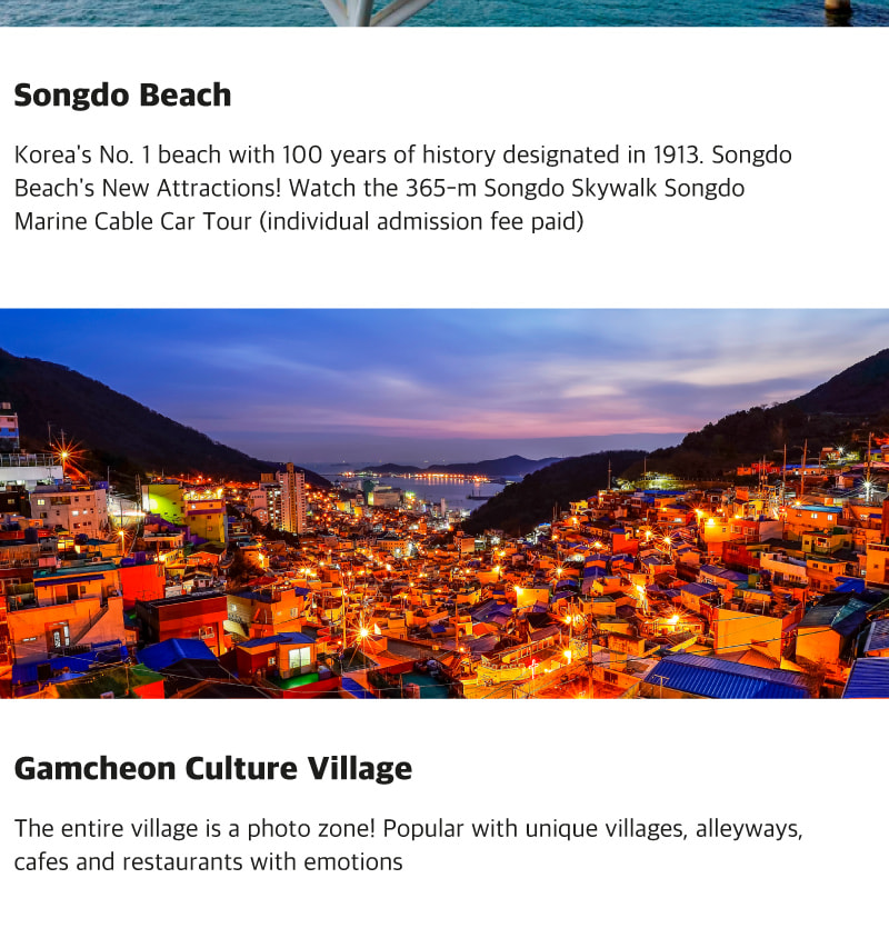 SRT One Day Private Busan City Tour (Songdo)