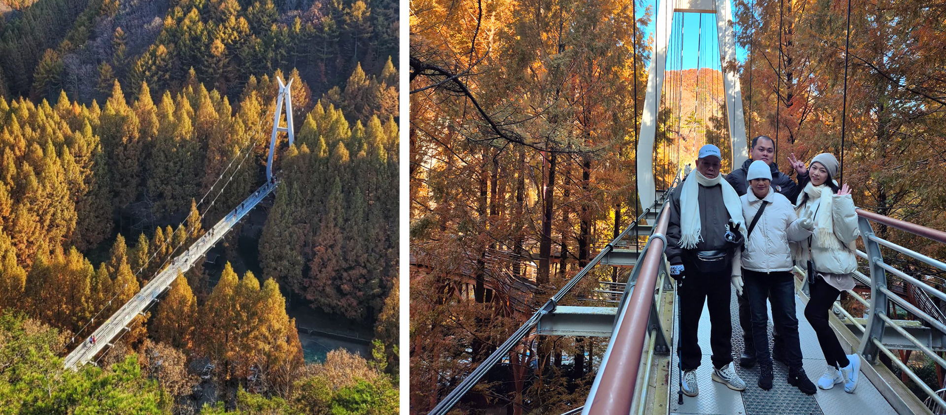 🍁當秋天來臨,森林變成了一幅巨大的畫作,充滿了紅色、橙色和金色。 🍁當秋天來臨,森林變成了一幅巨大的畫作,充滿了紅色、橙色和金色。