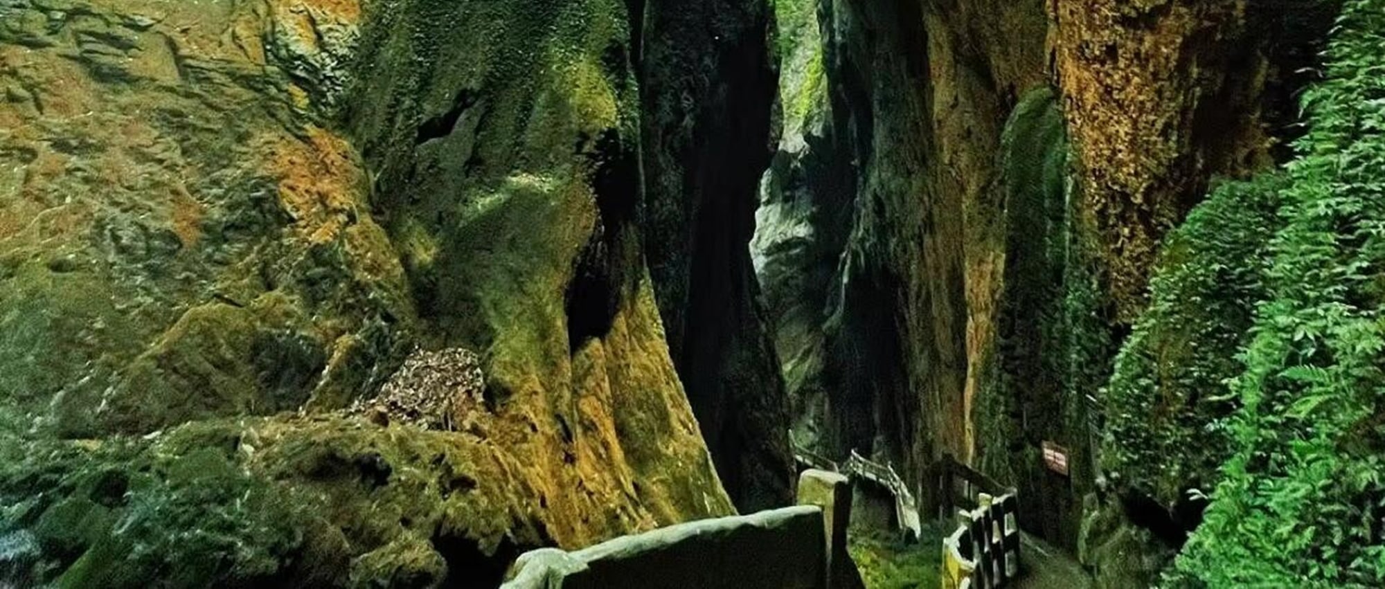 重慶武隆中英文私家團二日遊（天生三橋+龍水峽地縫+仙女山森林公園+芙蓉洞/816工程/白馬山天尺情緣/天坑寨子+重慶往返）
