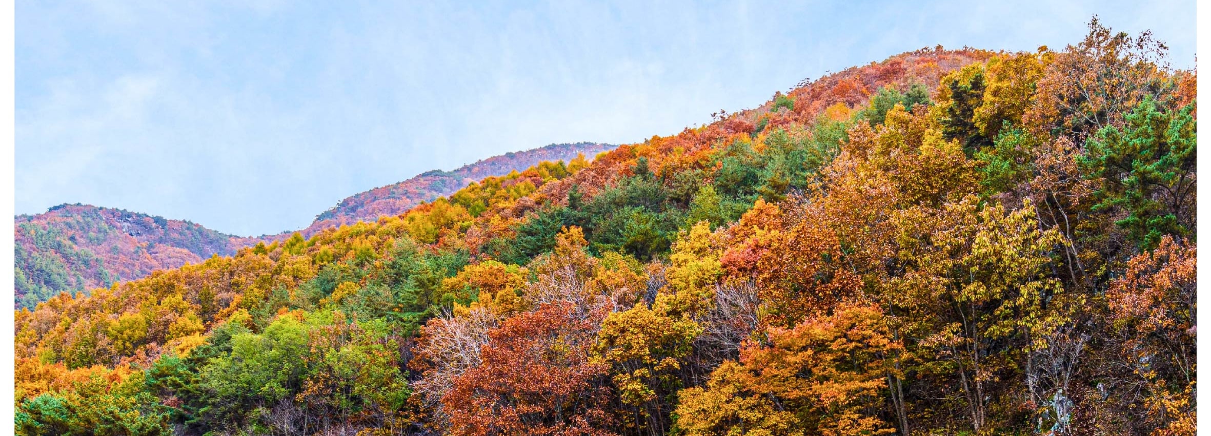 [秋季]周王山賞楓一日遊(釜山出发)	