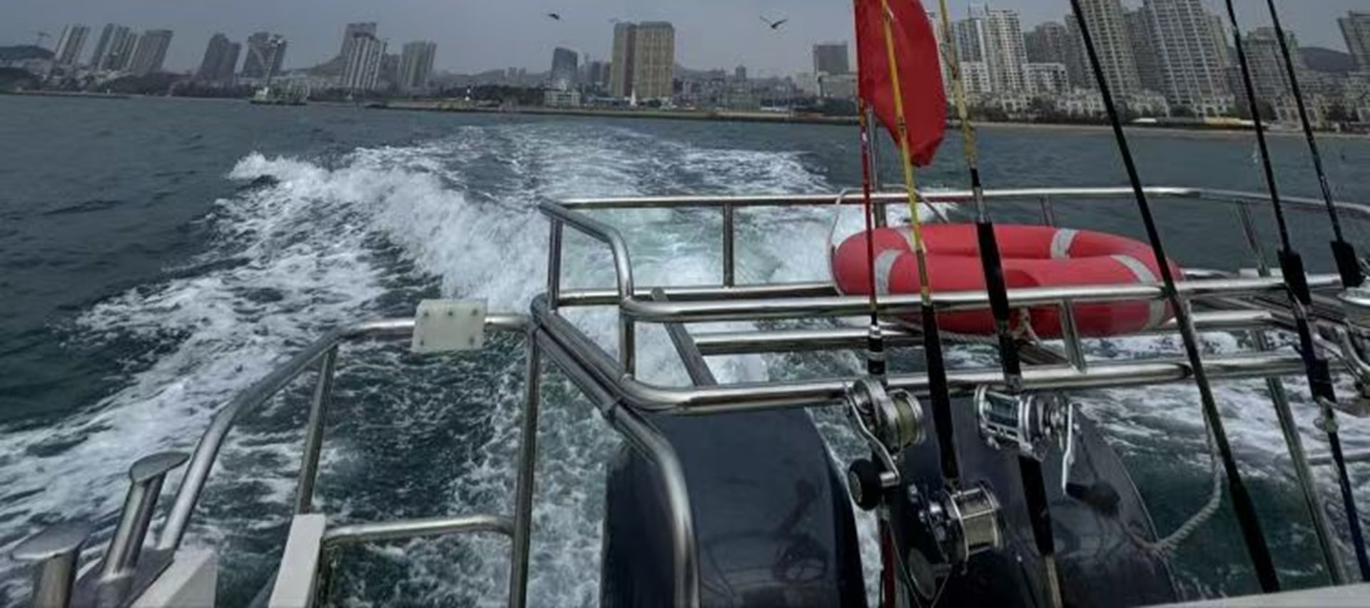 喂海鷗是俱樂部航線中人氣極高的互動項目,尤其受親子家庭喜愛,從餌料準備到互動方式都經過精心設計,安全又有趣,俱樂部為每位遊客免費準備海鷗專用餌料 喂海鷗是俱樂部航線中人氣極高的互動項目,尤其受親子家庭喜愛,從餌料準備到互動方式都經過精心設計,安全又有趣,俱樂部為每位遊客免費準備海鷗專用餌料