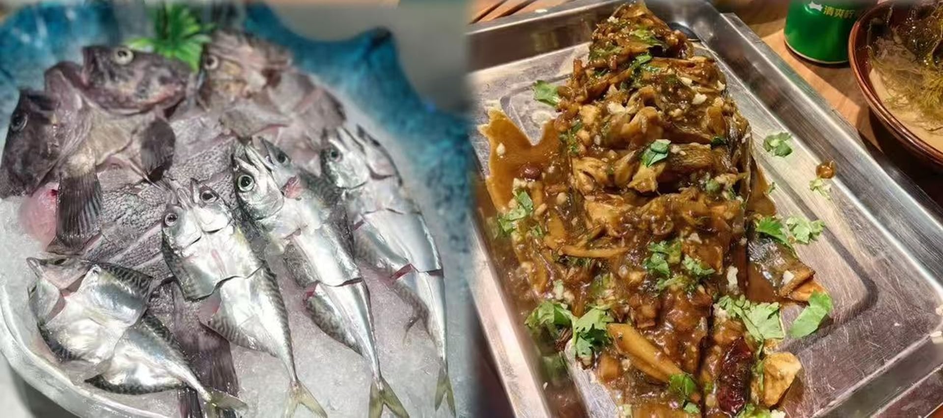 漁獲可現場稱重拍照,提供免費宰殺、冰袋打包服務;如需加工,可推薦碼頭合作飯店,主打 “清蒸鱸魚”“香煎鮁魚” 等原味做法 漁獲可現場稱重拍照,提供免費宰殺、冰袋打包服務;如需加工,可推薦碼頭合作飯店,主打 “清蒸鱸魚”“香煎鮁魚” 等原味做法