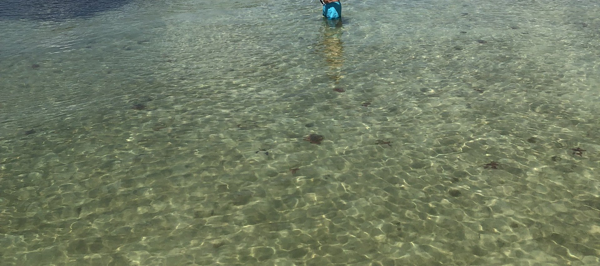 富國島自然人文探索之旅