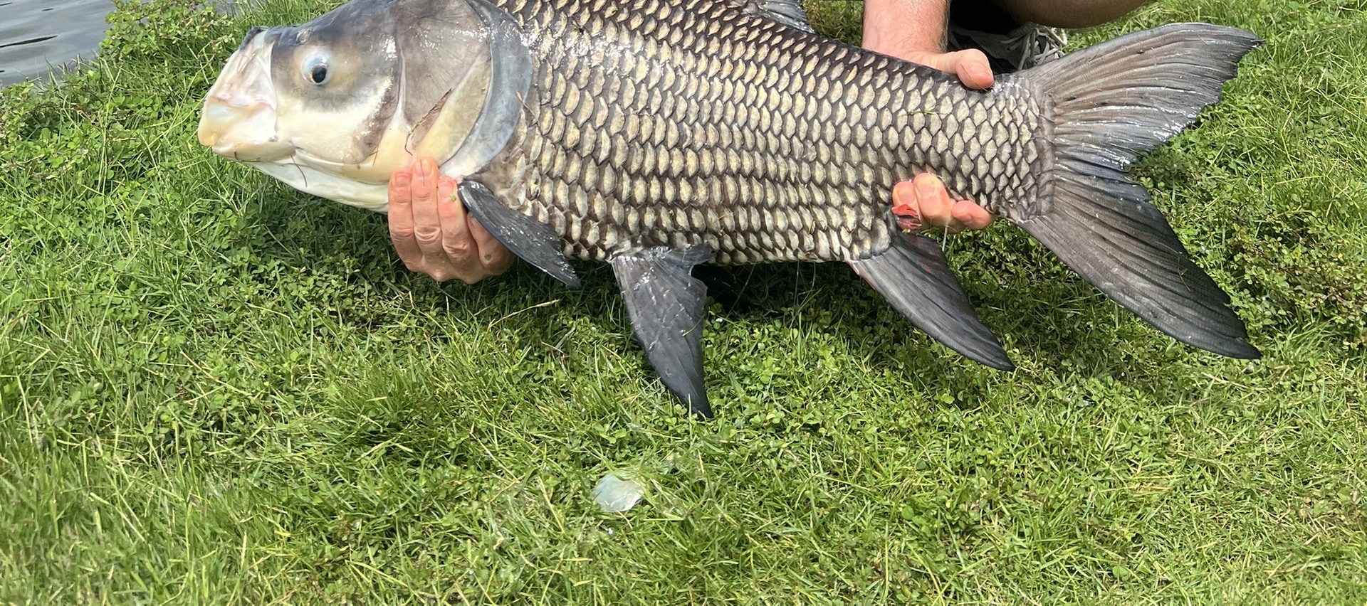胡志明市巨型怪物釣魚私人一日遊