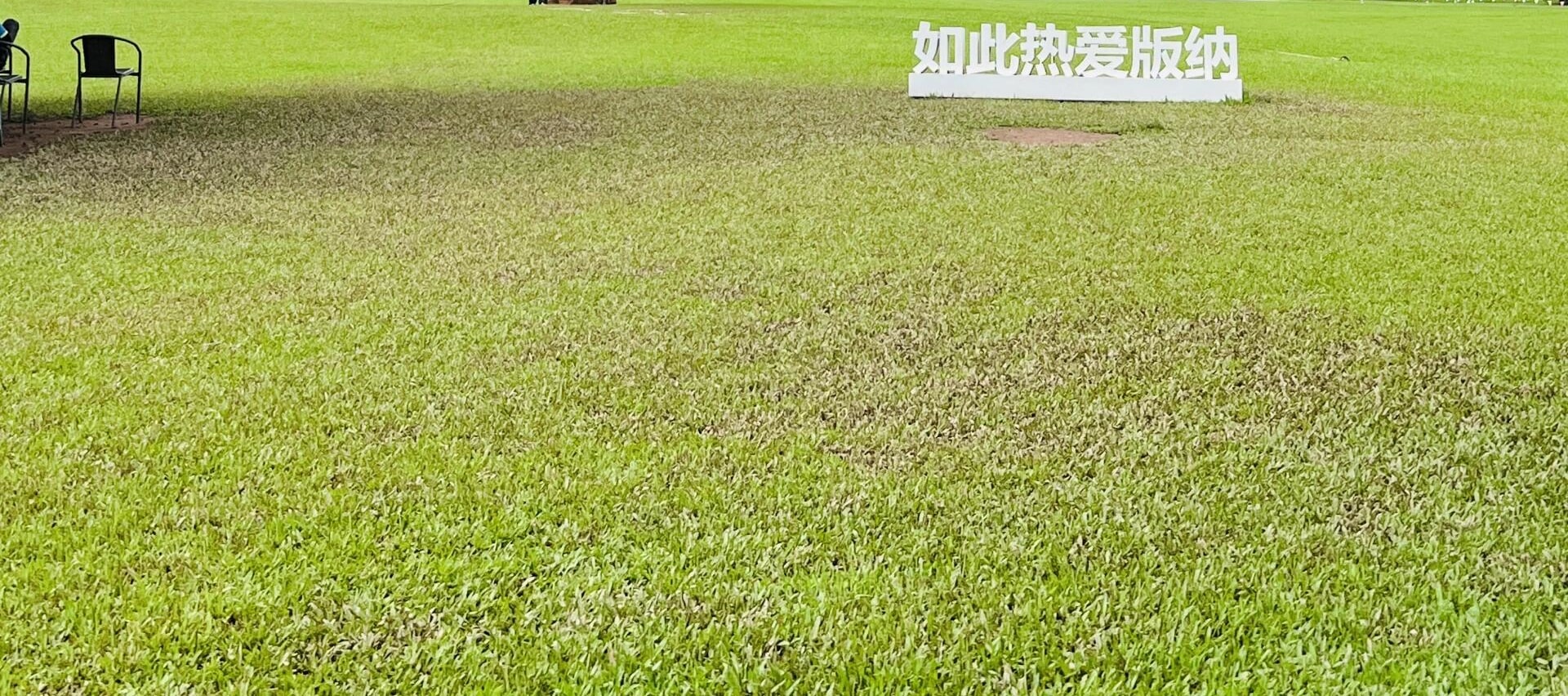 雲南中科院西雙版納熱帶植物園+傣族園一日遊（綠野仙蹤·雨林秘境+傣家煙火·潑水盛宴）