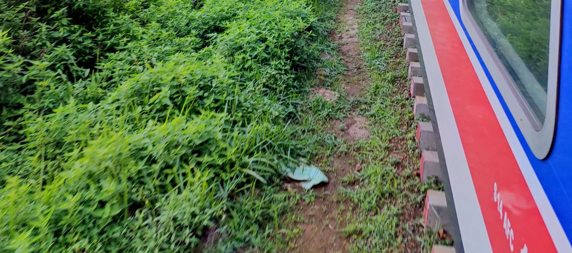 康提到努沃勒埃利耶觀光火車一等座預訂