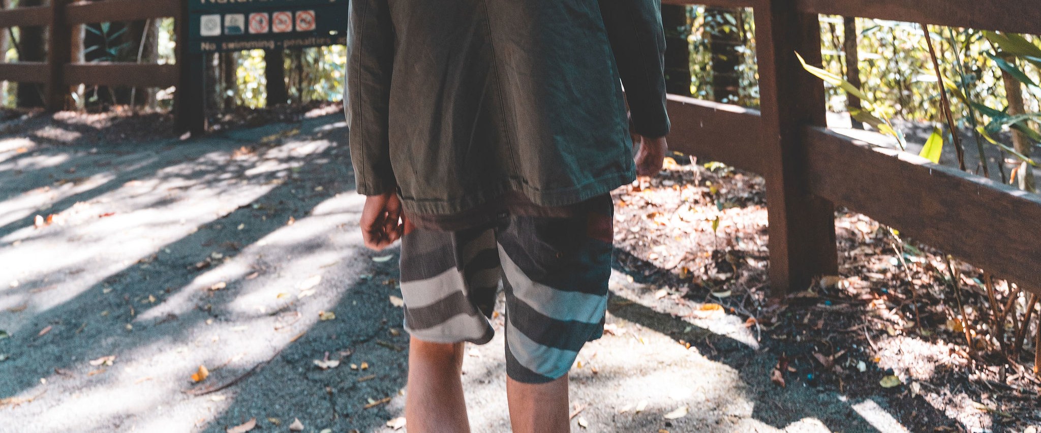“Explore ancient rainforests and spectacular waterfalls on our guided Springbrook tour.”