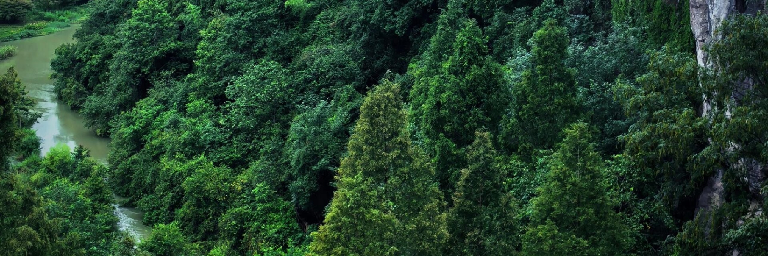 陡峭的巖壁被濃得化不開的綠意包裹，蜿蜒的河流在層疊的林海間若隱若現，遠處的索道和山間小屋又為這片秘境添了幾分人間菸火氣。陰柔的天光鋪灑在層層疊疊的林木上，讓整個畫面都暈染出朦朧的氛圍感，像藏在深山中的世外桃源，安靜又治癒，讓人忍不住想一頭扎進這片綠意裡