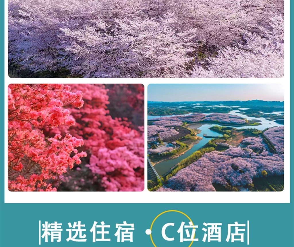 貴州山花爛漫5日（百里杜鵑+平壩櫻花園+青巖古鎮+織金洞+織金大峽谷+黃果樹瀑布）